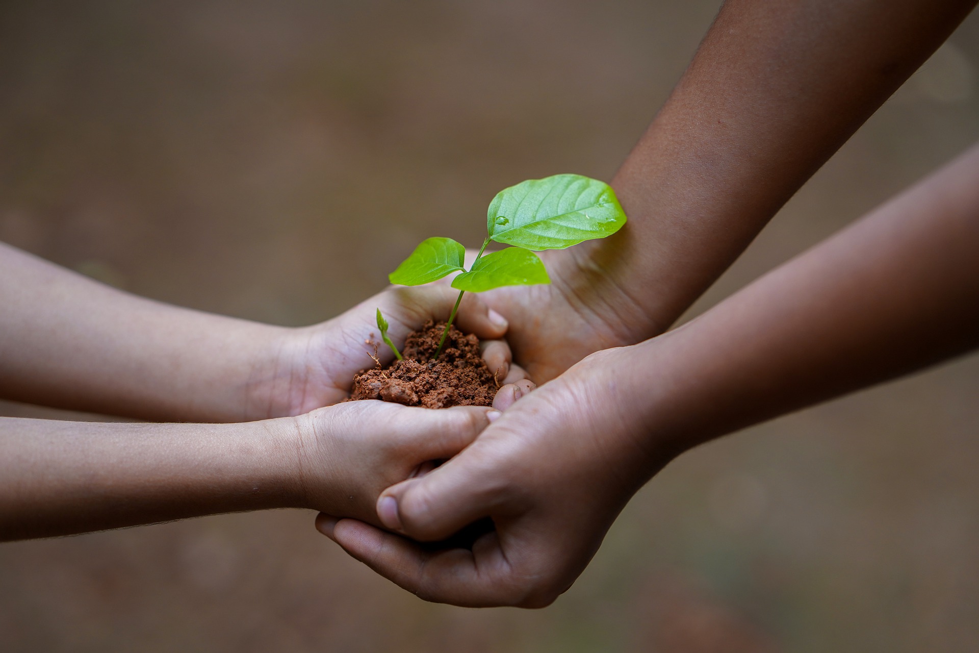 ExtraMiles Foundation responds to climate change